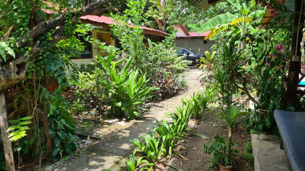 Gecko Guesthouse Пантай Ченанг Екстериор снимка